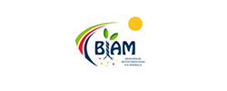 Logo adherentCEA - BIAM (INSTITUT DE BIOSCIENCES ET BIOTECHNOLOGIES D'AIX- MARSEILLE)